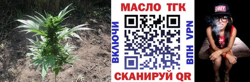 как найти   Великий Устюг  ТГК концентрат 
