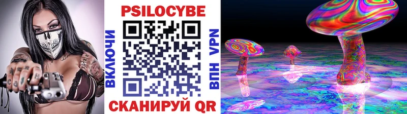 цена Великий Устюг Псилоцибиновые грибы GOLDEN TEACHER